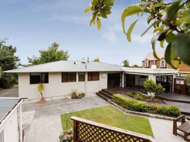 10 Dittmer Drive Awapuni_2