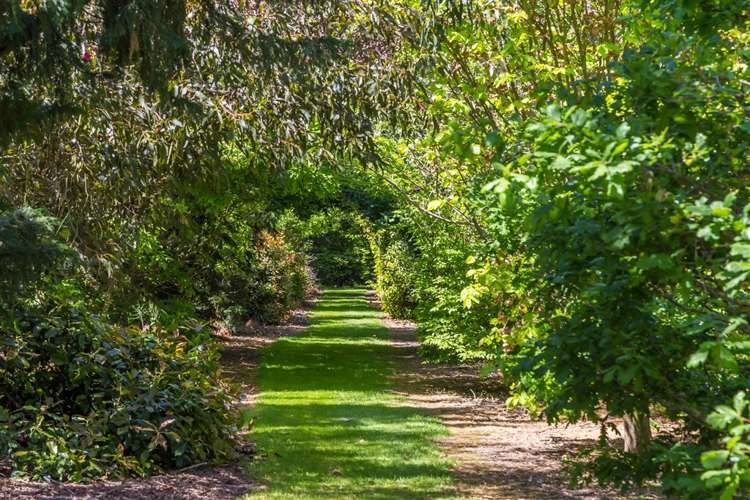 1123 Marshmans Road Balcairn_21