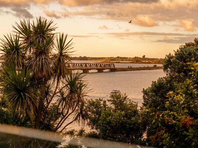 1/14 First Avenue Tauranga Central_4