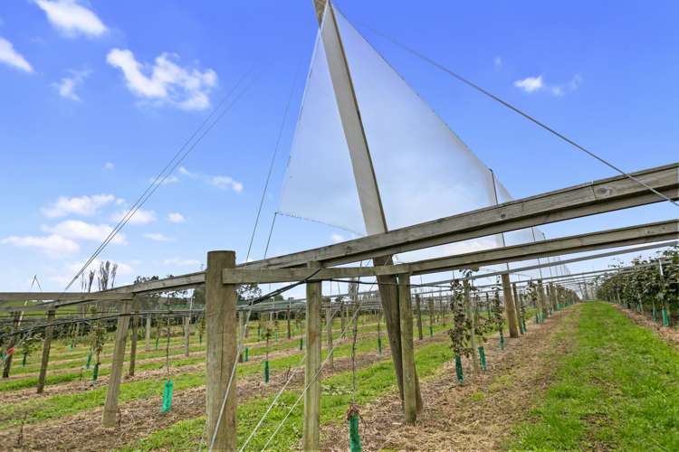 263 Waihi Beach Road Waihi_8