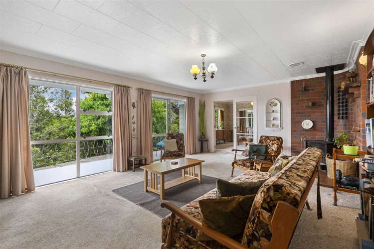 206 Albany Heights Road Albany Heights_16