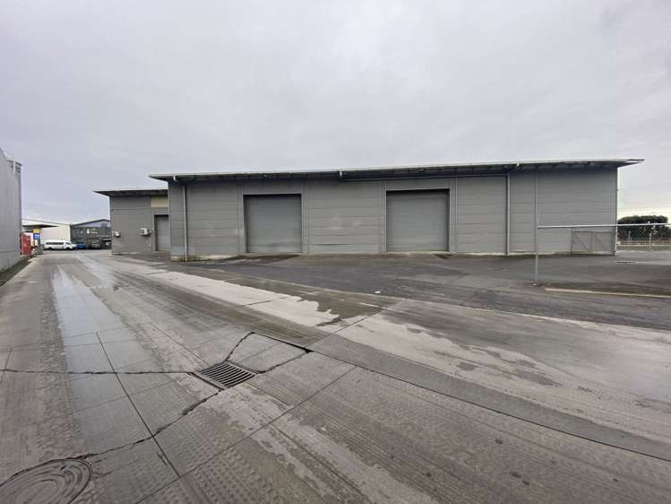 331 Neilson Street Penrose_9