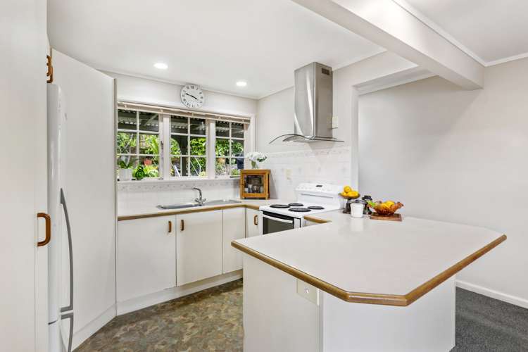 23a Martin Avenue Mount Albert_12