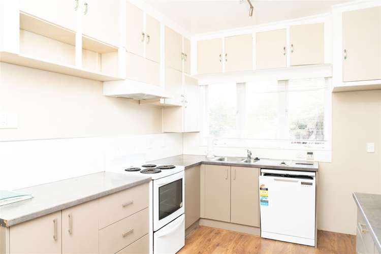 12 Tisdall Street Hamilton Central_18