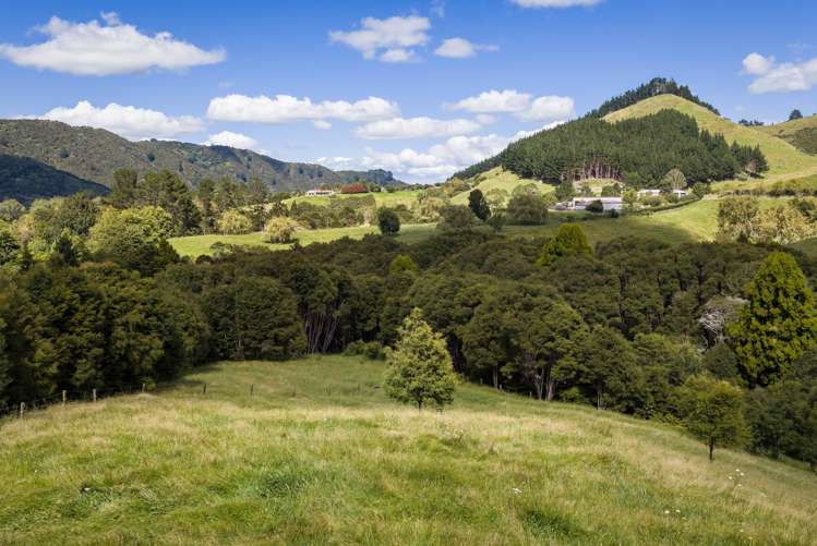 49 Mangotahi Road Thames_22