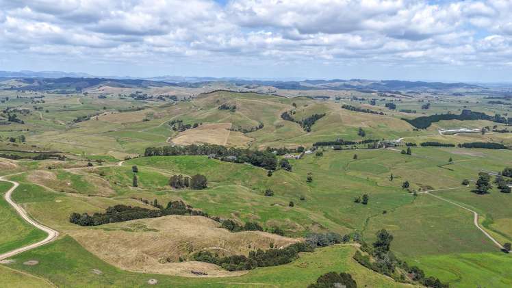 528 Monument Road Maramarua_25