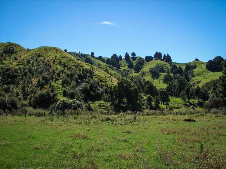 82 Carter Road Taumarunui_10