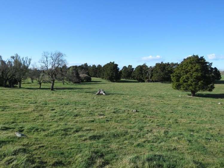 1248 Peel Forest Road Mesopotamia_3