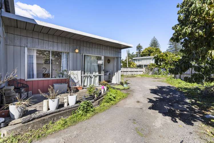 117 Trafalgar Street Onehunga_15