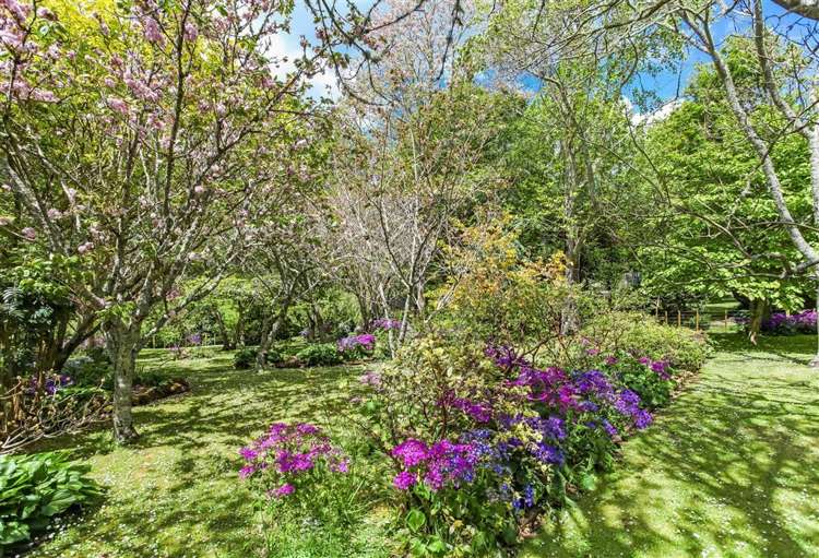 135 Avon Road Pokeno_9