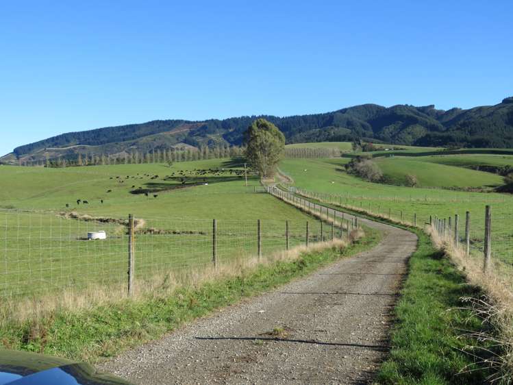 60 Woodside Road Geraldine_7