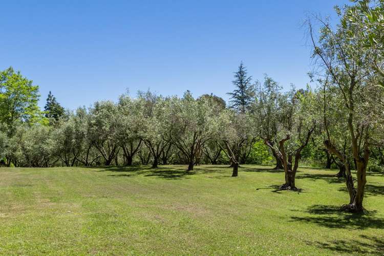 77 Black Barn Road Havelock North_25