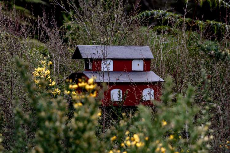 8 National Street Kumara_7