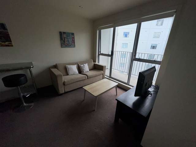 Fully furnished 2 bed, 2 bath city apt w/carpark