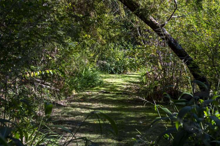 31 Totara School Road Totara North_32