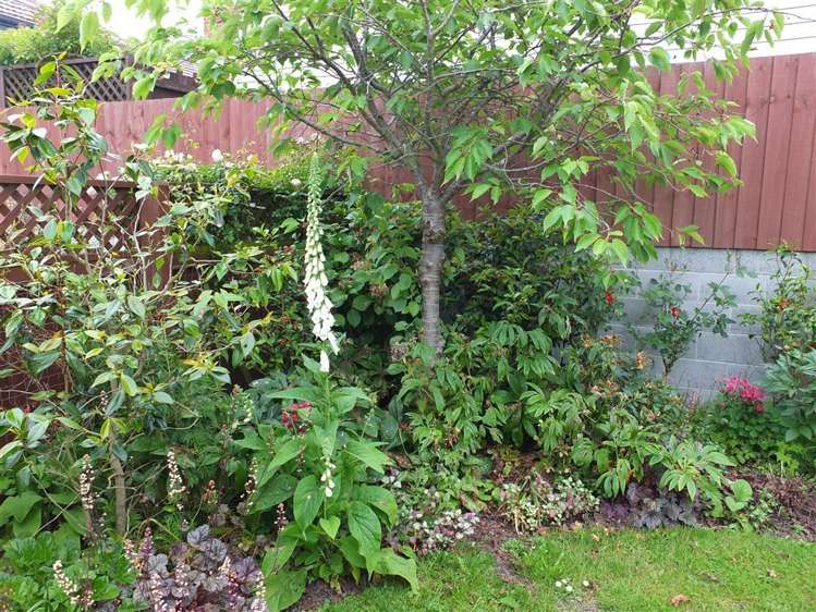 2/33 York Street Seaview_14