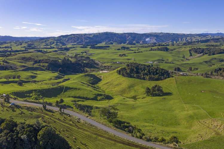 535 Maungatawhiri Road Raglan_6