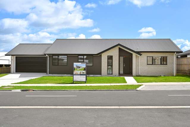 67 Cobham Drive Morrinsville_1