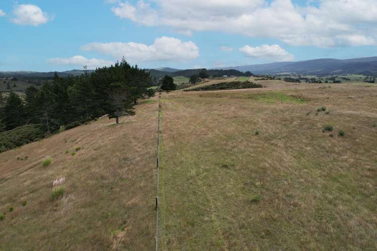 State Highway 12 Dargaville_11