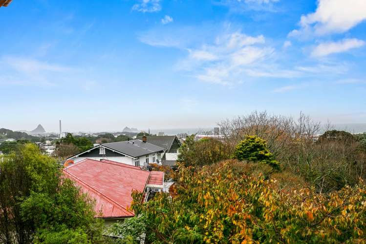 49 Cameron Street New Plymouth Central_14