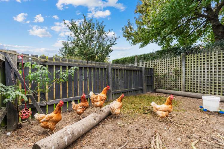 19 Waterholes Road Springston_28