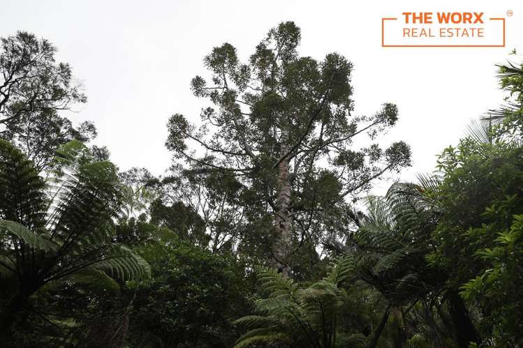 103 Laingholm Drive Laingholm_12