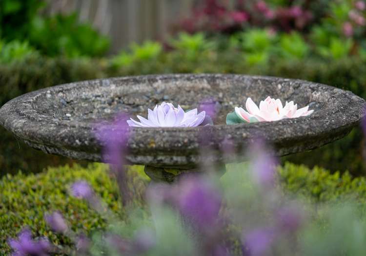 3 Alba Place Cambridge_12