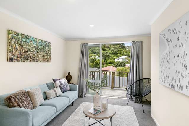 146f Aro Street Aro Valley_2