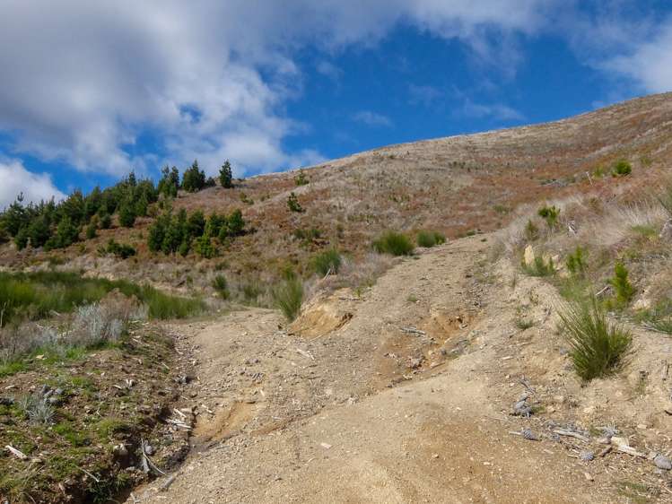 State Highway 63 Wairau Valley_14