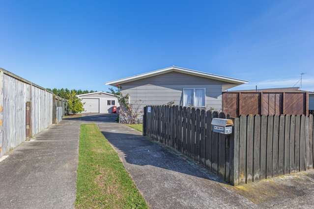 83 Strathmore Avenue Levin_1