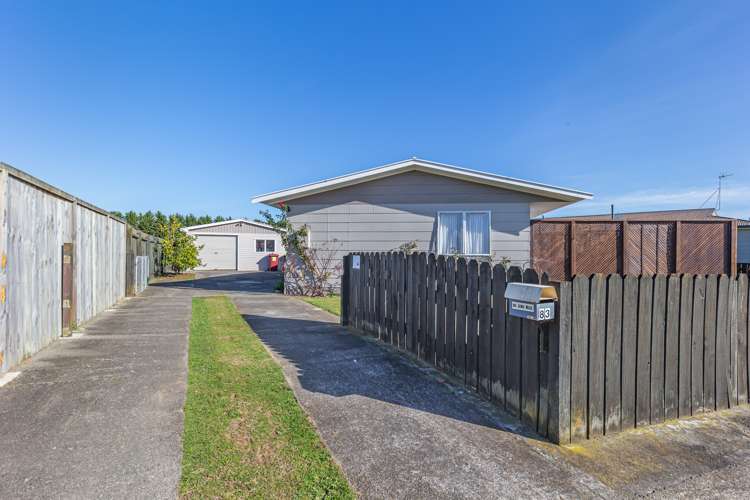 83 Strathmore Avenue Levin_1