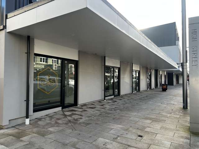 179 High Street Lower Hutt_1