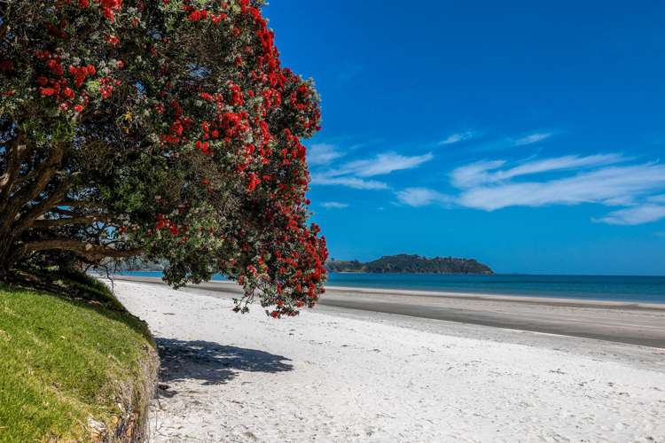 2 Seventh Avenue Onetangi_24