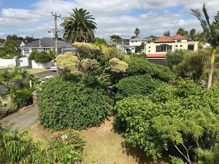 5 Cecil Road Milford_17