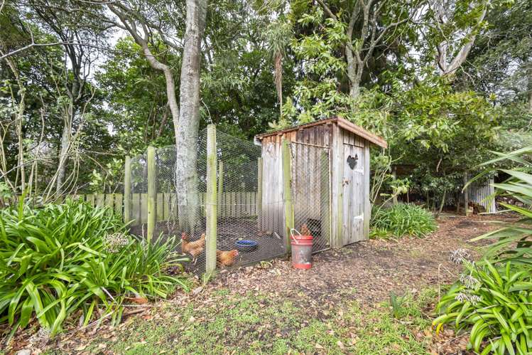 7 Calico Line Marton_31