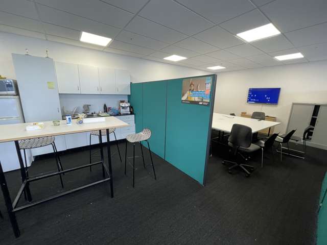 47 The Esplanade Petone_4