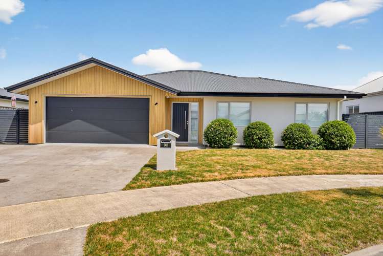 90 Hunter Drive Awatoto_23