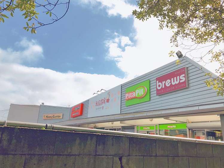 12a Mount Smart Road Royal Oak_13