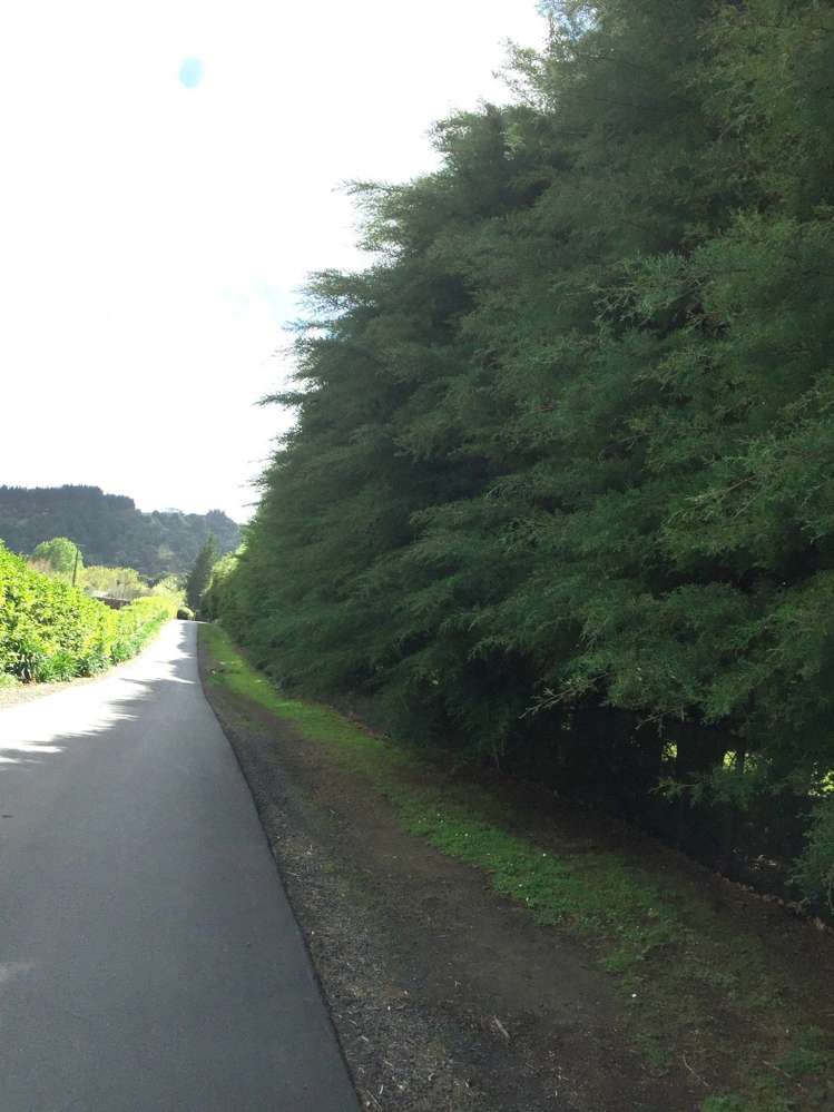 310 Matua Road Kumeu_16