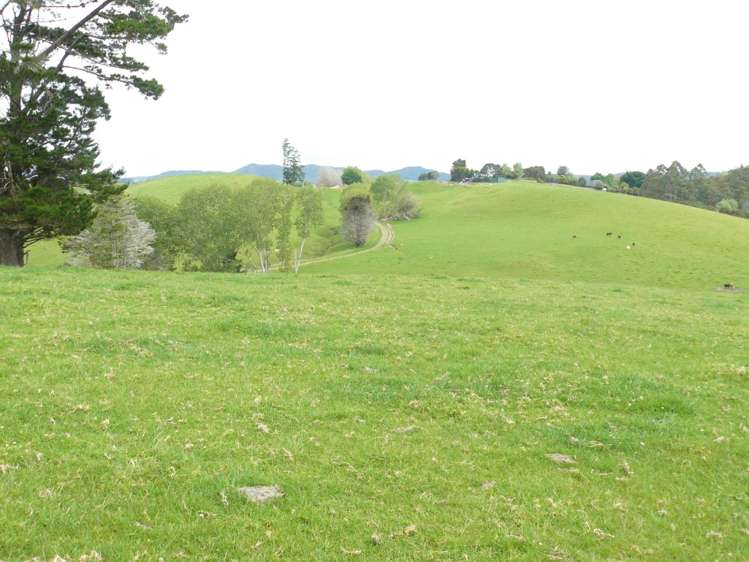 807 Puketona Road Haruru_16