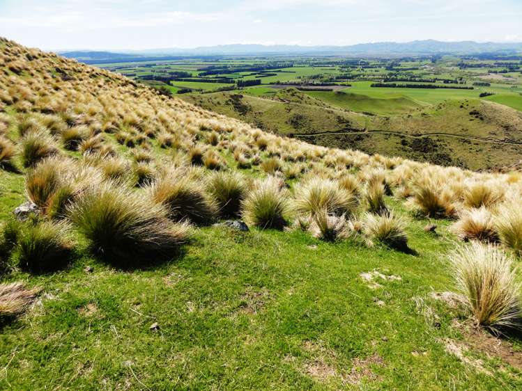 231 Powers Road Hawarden_11