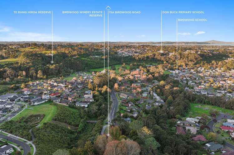 75a Birdwood Road Swanson_25