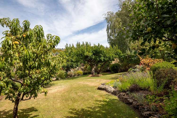 14 Lanes Road Alexandra_32