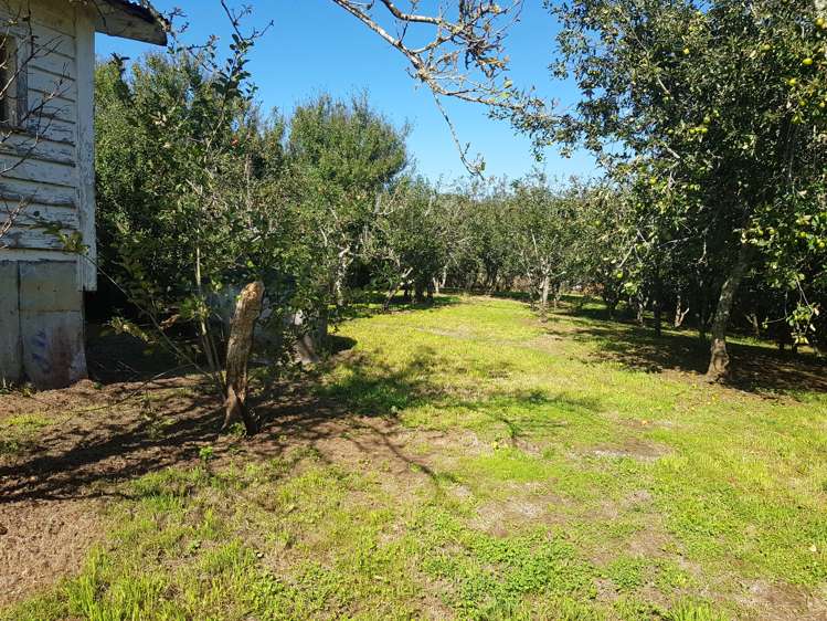 22 Cadman Street Waikino_6