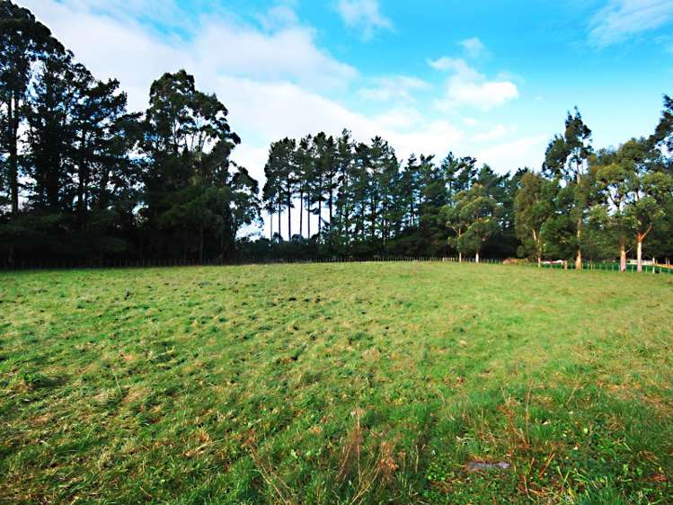 225 Upper Manaia Road Upper Plain_11