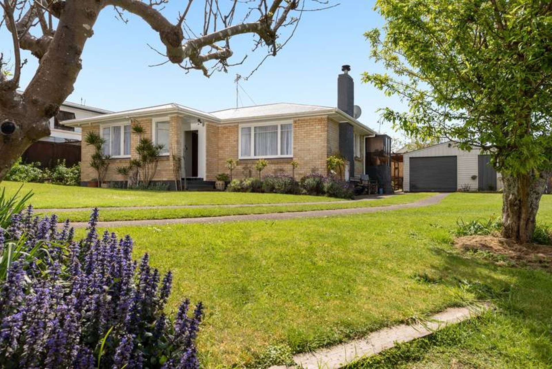8 Gordon Street Te Puke_0