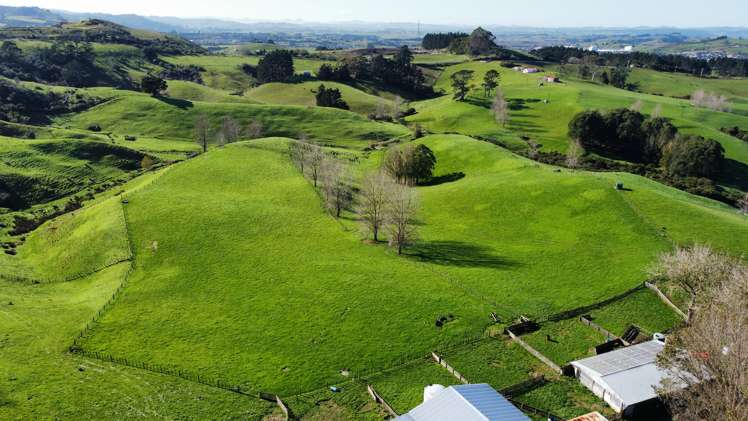 336 Dominion Road Tuakau_8