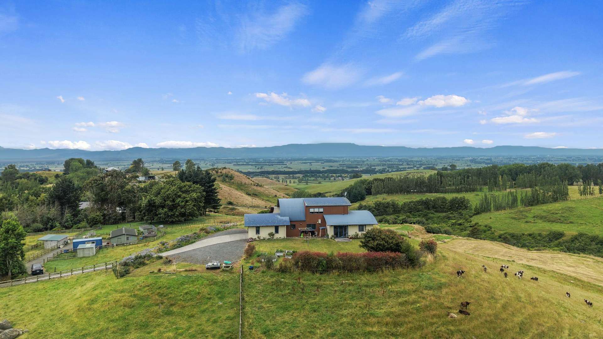 660 Quine Road Morrinsville_0