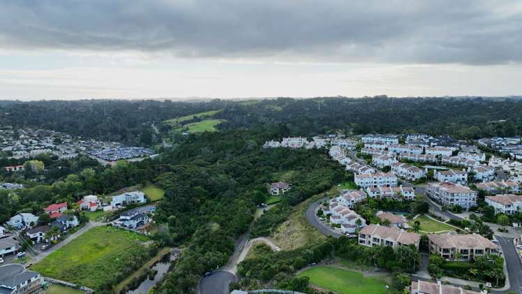 31 Living Stream Road Albany Heights_6