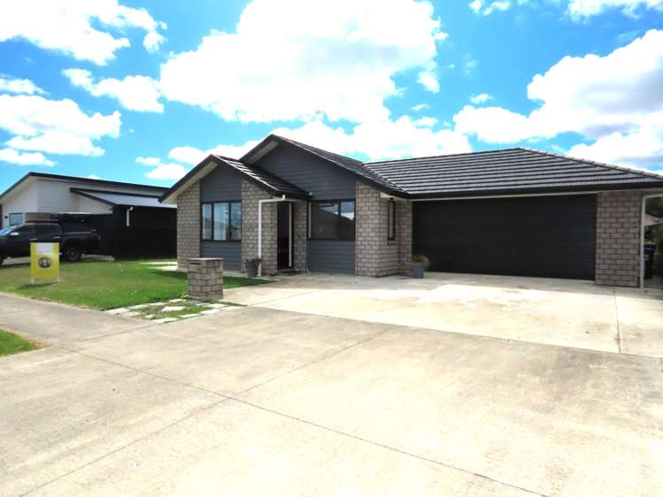 102 Hinemoa Street Levin_4